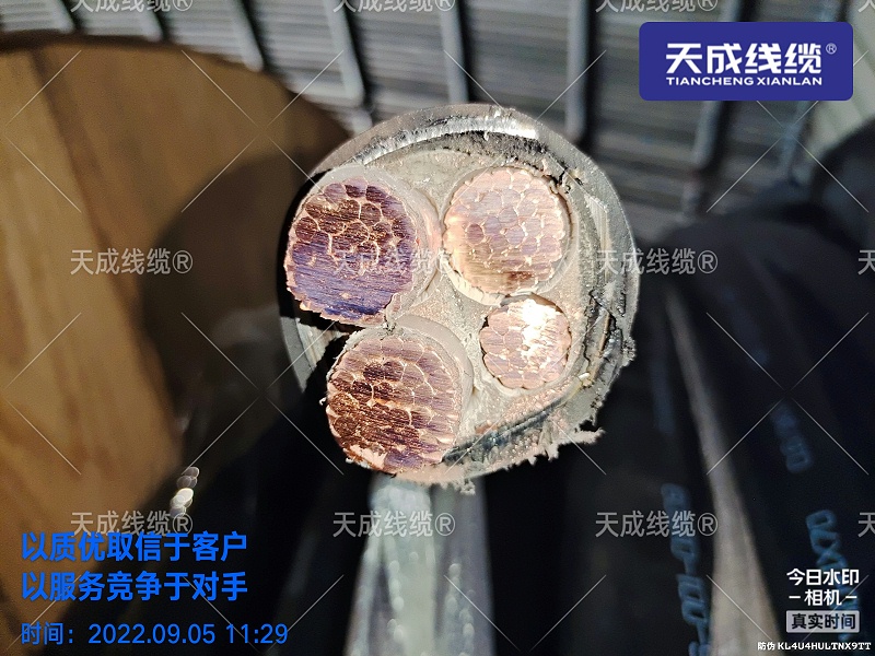 你對電力電纜YJV22了解多少呢